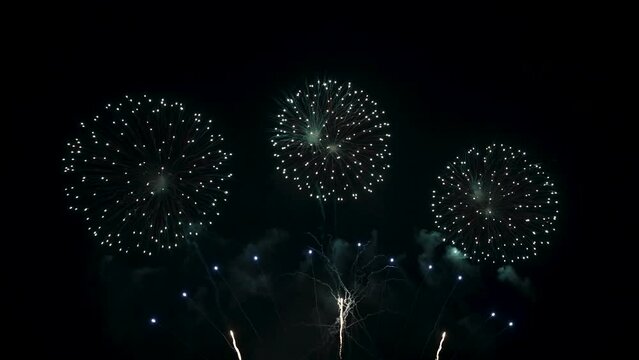 Seamless looping real Fireworks display celebration, Colorful New Year Firework 4K