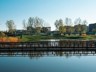 Fototapeta premium Japanese garden in Vilnius in spring.