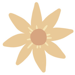 Tiny Flower Little Floral Nature