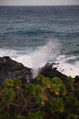 Beautiful Hawaii with its mountains, beaches, sunsets, and palm trees 

