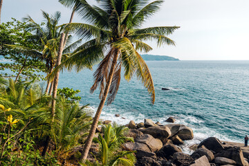 Tropical island,coconut and palm trees by the sea on the island
