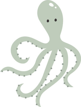 Swimming Octopus Mollusk