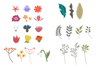 Vector flowers, herbs, grass set. Simple flat botanical design. Hand drawn, isolated on white background.
