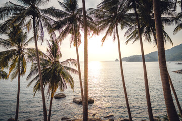 Tropical island,coconut and palm trees by the sea on the island