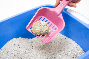Clumping Bentonite Cat Litter tray on pink scoop at home. Bright blue pet tray. Cleanliness, pet...