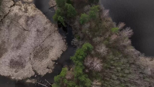 Overgrown river Abuls in spring, Latvia