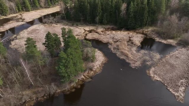 Overgrown river Abuls in spring, Latvia