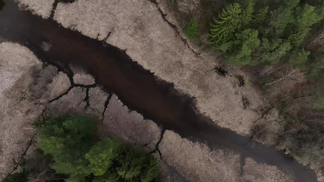 Overgrown river Abuls in spring, Latvia
