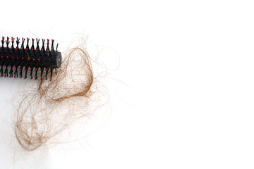 Obraz premium Hair loss, hair loss every day, serious problems and hair loss on a white background.