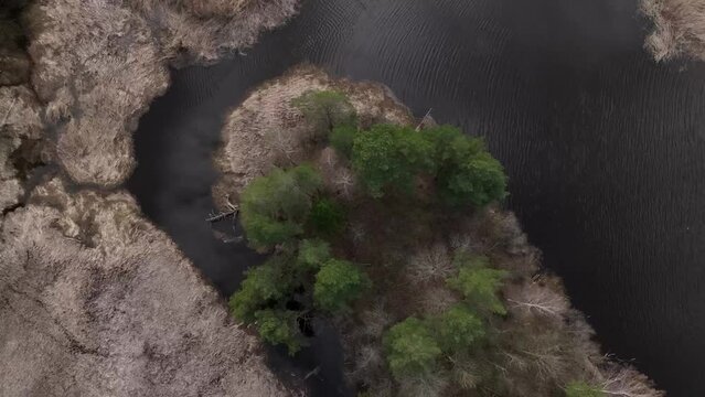 Overgrown river Abuls in spring, Latvia