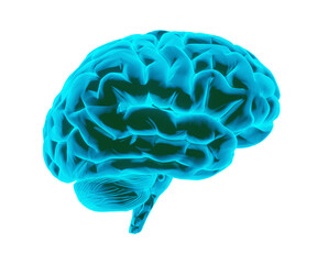 an illustration of human brain in hologram style