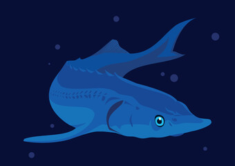 Illustration of a blue sea fish