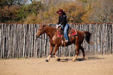 Fototapeta premium Western authentic lifestyle with cowgirl riding in arena during Texas autumn outdoors on ranch.