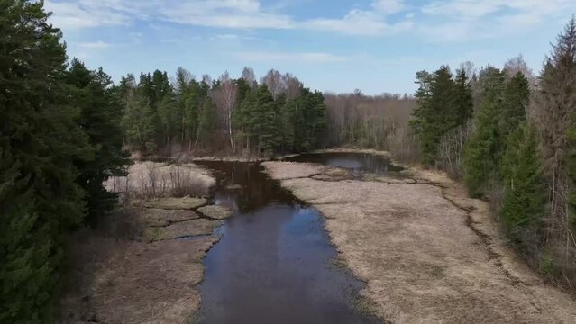 Overgrown river Abuls in spring, Latvia