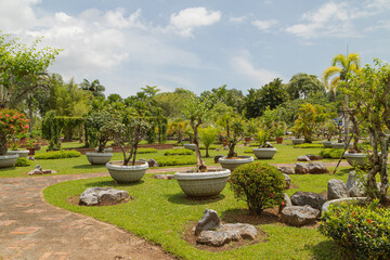 Obraz premium Palm collection in сity park in Kuching, Malaysia, tropical garden with large trees and lawns, stone composition, rockery.