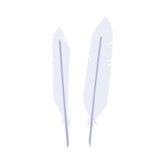 White bird feathers flat vector illustration isolated on white background.