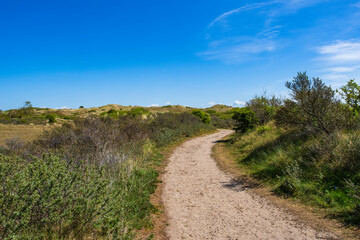 Fototapeta na wymiar Hike through the dune reserve at Egmond aan Zee/NL on a sunny day