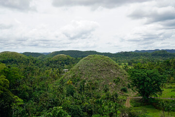 Fototapeta na wymiar famous chocolate hills on bohol island on the philippines
