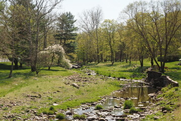 The stream pases by the house which is not visible in this spring landscape.