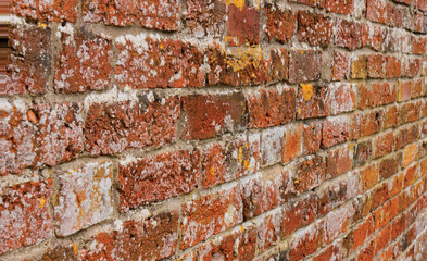 Brick wall weathered orange bricks