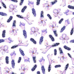 Watercolor botanical illustration. Seamless pattern of purple lavender buds. Fragrant field herb. Hand drawn wild flowers on a white background.For wrapping paper, fabrics for home textiles, clothing