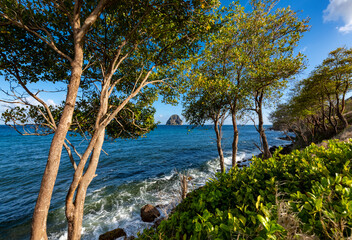 Fototapeta na wymiar Coastline panorama of Martinique island (France) in Caribbean sea with iconic volcanic rock island “Le Diamant“, breaking waves and trees. Idyllic tropical scenery near “Anse d’Arlet“, touristic site.