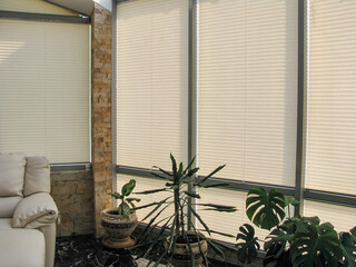 Pleated blinds with beige folded fabric on the windows close-up. On the floor stand home plants in greek style flower pots. Cordless bottom up top down pleated shade with silver lower bar.