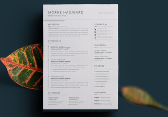 Clean & Minimal Resume Template