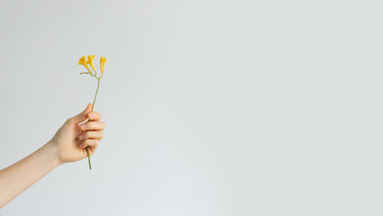 hand with flowers on a uniform background banner.
