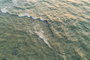 The surface of the sea in shallow water with waves and muddy water color in sunset