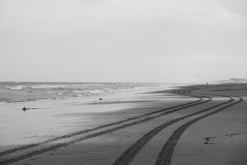 Vehicle tracks on the beach