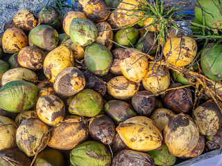 A pile of coconuts