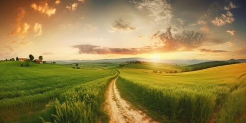 Beautiful summer rural landscape, Panorama of summer green field with Empty road and Sunset cloudy sky