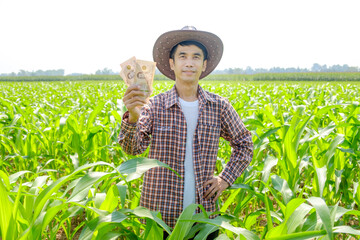 Asian male farmer in striped shirt holding banknotes at corn field