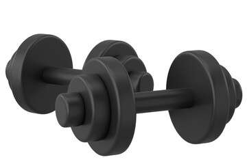 Dumbbell. Fitness equipment. 3D illustration.