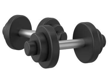 Dumbbell. Fitness equipment. 3D illustration.