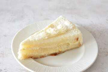 A white plate with a slice of cheesecake with coconut chips on it, close-up