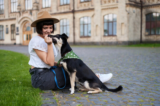 Pretty young woman and dog sitting on grass in backyard. Smiling and hugging the dog. Old city scape. High quality photo