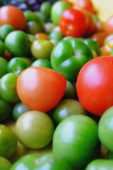 Closeup of green and red tomato. Raw tomatoes in different stages of ripeness, green, red, organic, from above. Zoom on fresh, healthy, raw tomato produce. Harvested tomato for delicious meals