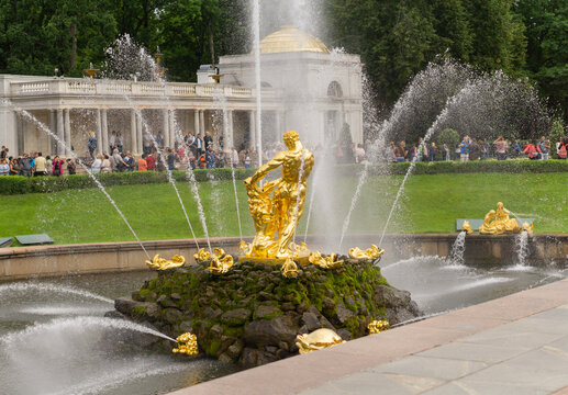 Samson with lion back golden sculpture at peterhof palace with tourist at background