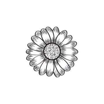 recommend clip art: monochrome, black and white daisy flower