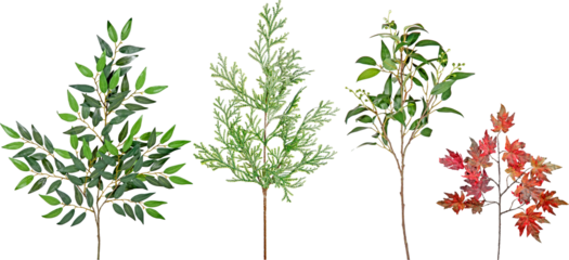 Tree Branches with transparent png background