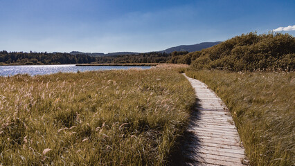 The protected area in &Scaron;umava park in Czech Republic, South Bohemia by the pond Ol&scaron;ina with its wooden pathways with a nest made of the branches.