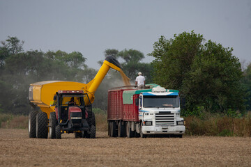 Máquina volcando semillas al camión que las va a trasladar, campo argentino