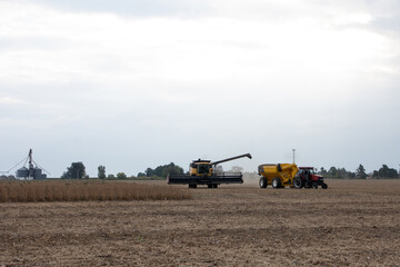 Trilladora cosechando soja y camión recolector, campo argentino, trabajo