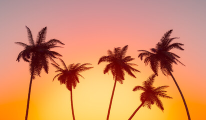 Fototapeta na wymiar Silhouettes of tall palms under cloudless sundown sky