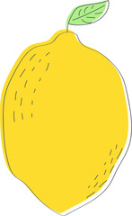 Lemon Vintage Look - Vector Line Art - Food Illustration	