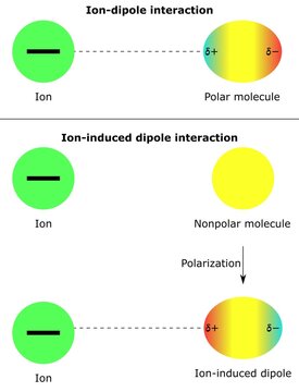 intermolecular forces ion dipole interaction ion induced nonpolar molecules polar partial positive negative charge physical chemistry physics