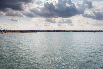 Rilassante scenario sul Lago di Garda, dove le acque calme si fondono con il cielo azzurro, creando...
