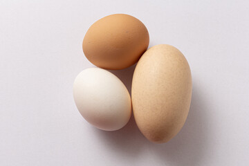 A chicken egg with a double yolk stands out on a white background next to two smaller eggs.